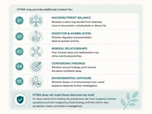 HTMA nutrition practice infographic showing macronutrient balance, digestion and assimilation, mineral relationships, converging findings, and environmental exposure