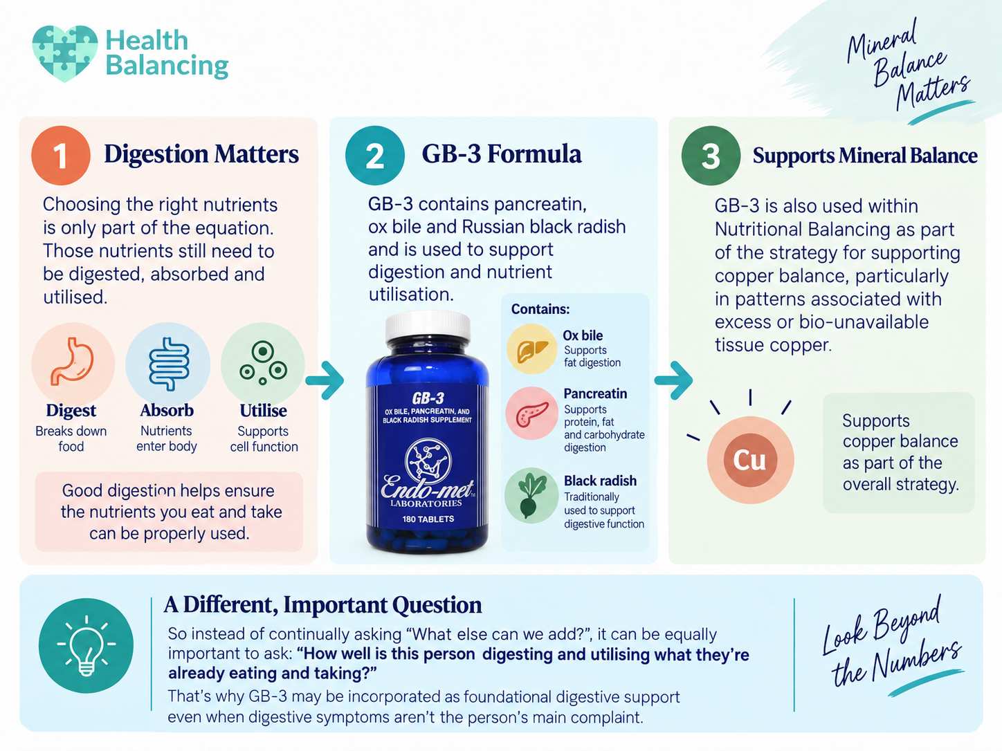 gb-3-digestion-nutrient-utilisation-htma GB-3 digestive support infographic showing pancreatin, ox bile and black radish for digestion, nutrient utilisation and mineral balance
