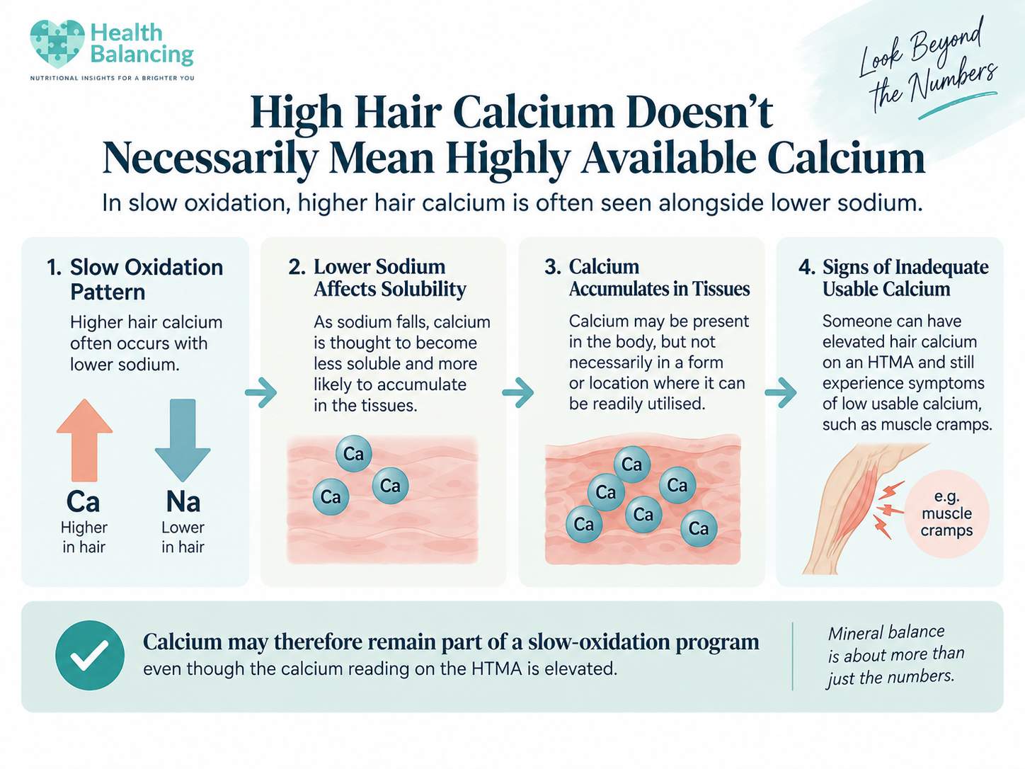 high-hair-calcium-htma-slow-oxidation High hair calcium on HTMA in slow oxidation with lower sodium and reduced calcium availability