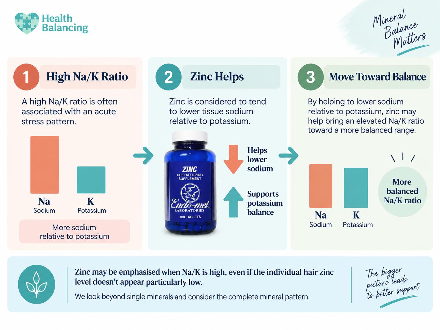 htma-high-na-k-zinc-mineral-balance