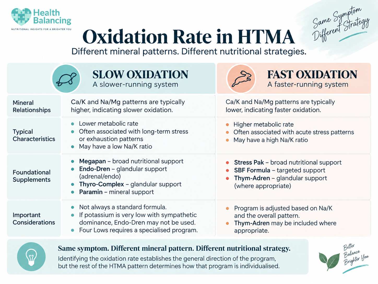 htma-oxidation-rate-slow-vs-fast HTMA oxidation rate comparison showing slow and fast oxidation and different nutritional strategies