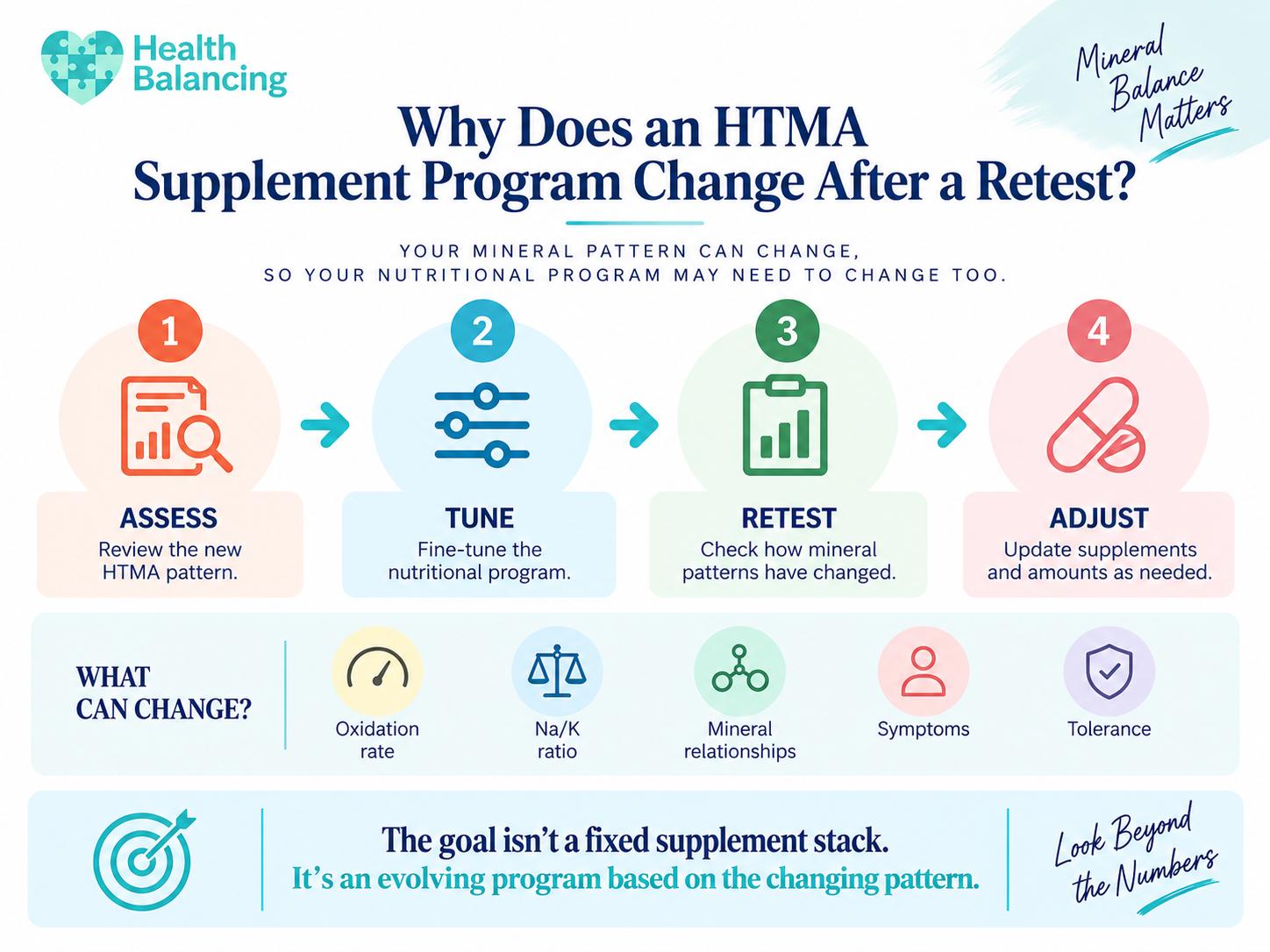 htma-supplement-program-retest-adjustment HTMA retesting process showing assess, tune, retest and adjust steps for an evolving supplement program